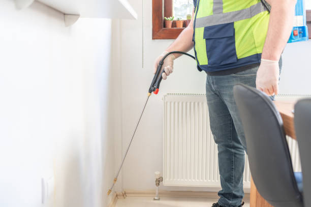 Best Mosquito Control Services  in Adrian, MN
