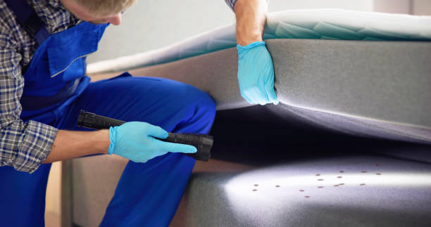Best Exterminator Services  in Adrian, MN