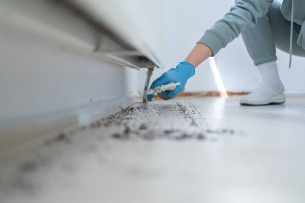 Best Pest Control Treatment  in Adrian, MN
